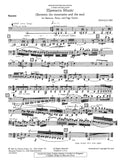 Bassoon