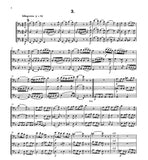 Score 3