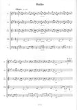 Medaglia, Julio % Det is die Brasilianer Luft (score & parts) - WW5