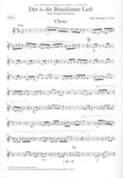 Medaglia, Julio % Det is die Brasilianer Luft (score & parts) - WW5