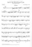 Medaglia, Julio % Det is die Brasilianer Luft (score & parts) - WW5