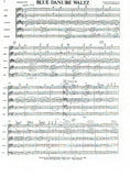 Score 1