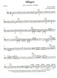 Bassoon 1