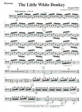Bassoon 1