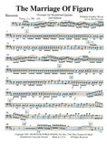 Bassoon 1