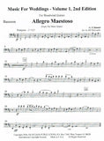 Bassoon 1