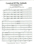 Stream 05. Fósseis (Carnaval Dos Animais) - Camille Saint - Saëns - P. 17  by CPB Educacional