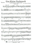 Bassoon 1