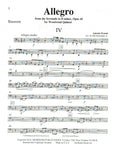 Bassoon 1