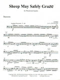 Bach, J.S. % Sheep May Safely Graze (score & parts) - WW4