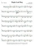 Bassoon Voice 3
