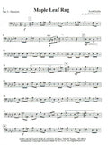 Bassoon Voice 3