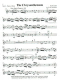 Oboe Voice 2
