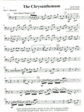 Bassoon Voice 3