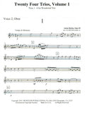 Oboe Voice 2