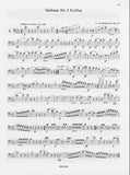 Beethoven, Ludwig van % Orchestral Studies V1 (Piesk) - BSN