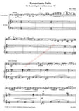 Bruns, Victor % Concertante Suite, op. 95 - CBSN/PN
