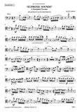 Bassoon