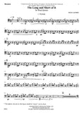 Bassoon