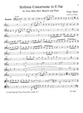 Bassoon