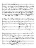 Zelenka, Jan Dismas % Sonata #4 in g minor - 2OB/BSN/PN (Basso Continuo)