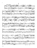 Caussinus, Victor % Six Concert Duos, op. 14 (score & parts) - 2BSN